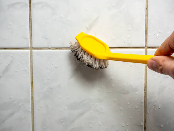 Best Commercial Mold Removal  in Golden Beach, MD